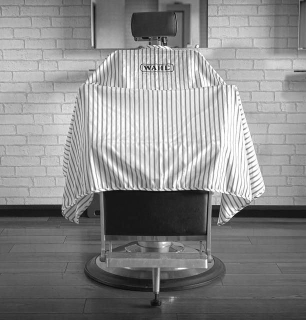 Wahl Professional Pinstripe Barber Cape
